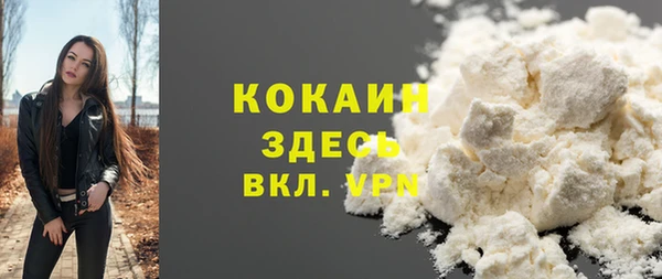 хмурый Алексин