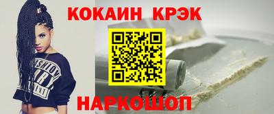 шишки Владимир