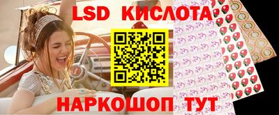 шишки Владимир
