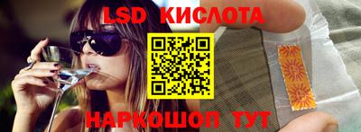 шишки Владимир
