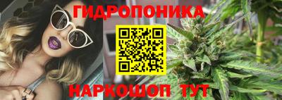 шишки Владимир