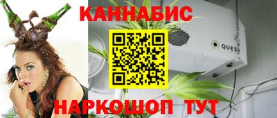шишки Владимир