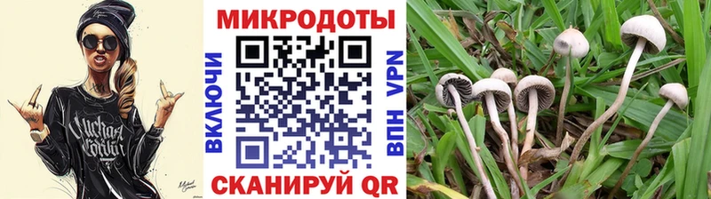 наркотики  Киреевск  Галлюциногенные грибы MAGIC MUSHROOMS 