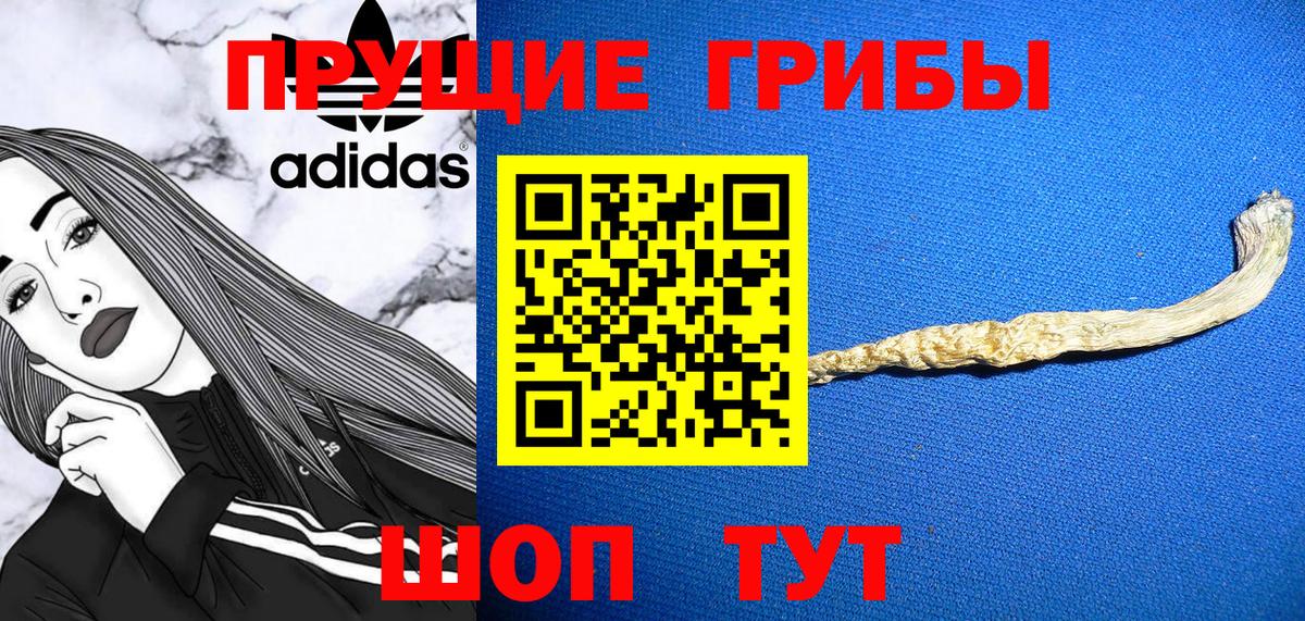 купить наркоту  Вход с VPN  Киреевск  Галлюциногенные грибы мухоморы 