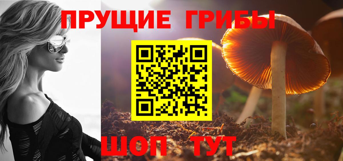 Галлюциногенные грибы мицелий Киреевск